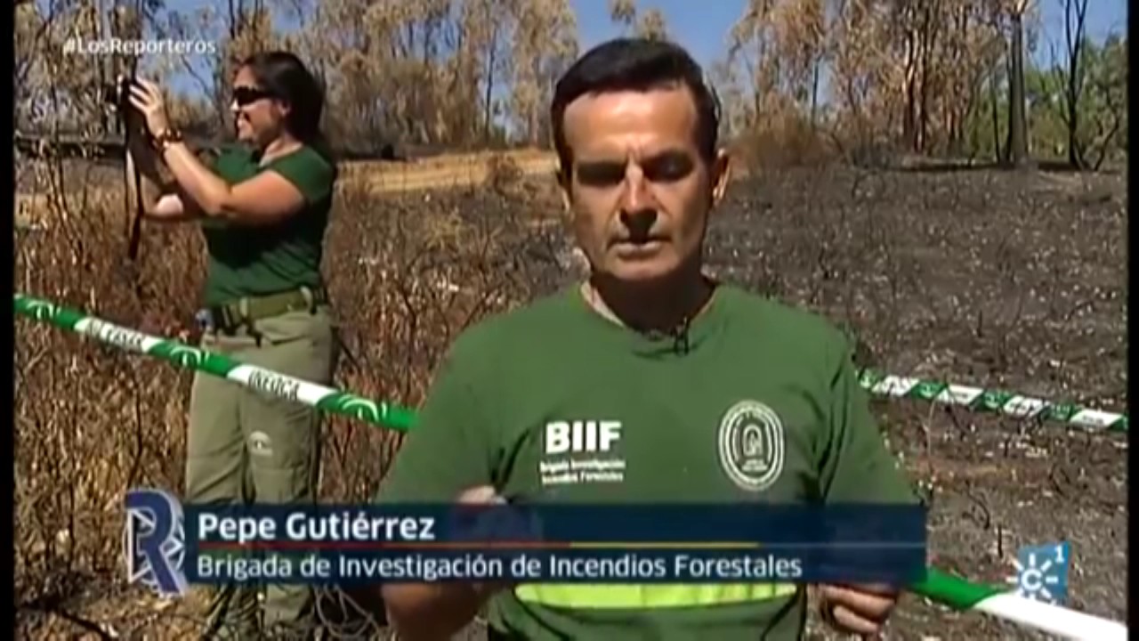 Los detectives del fuego