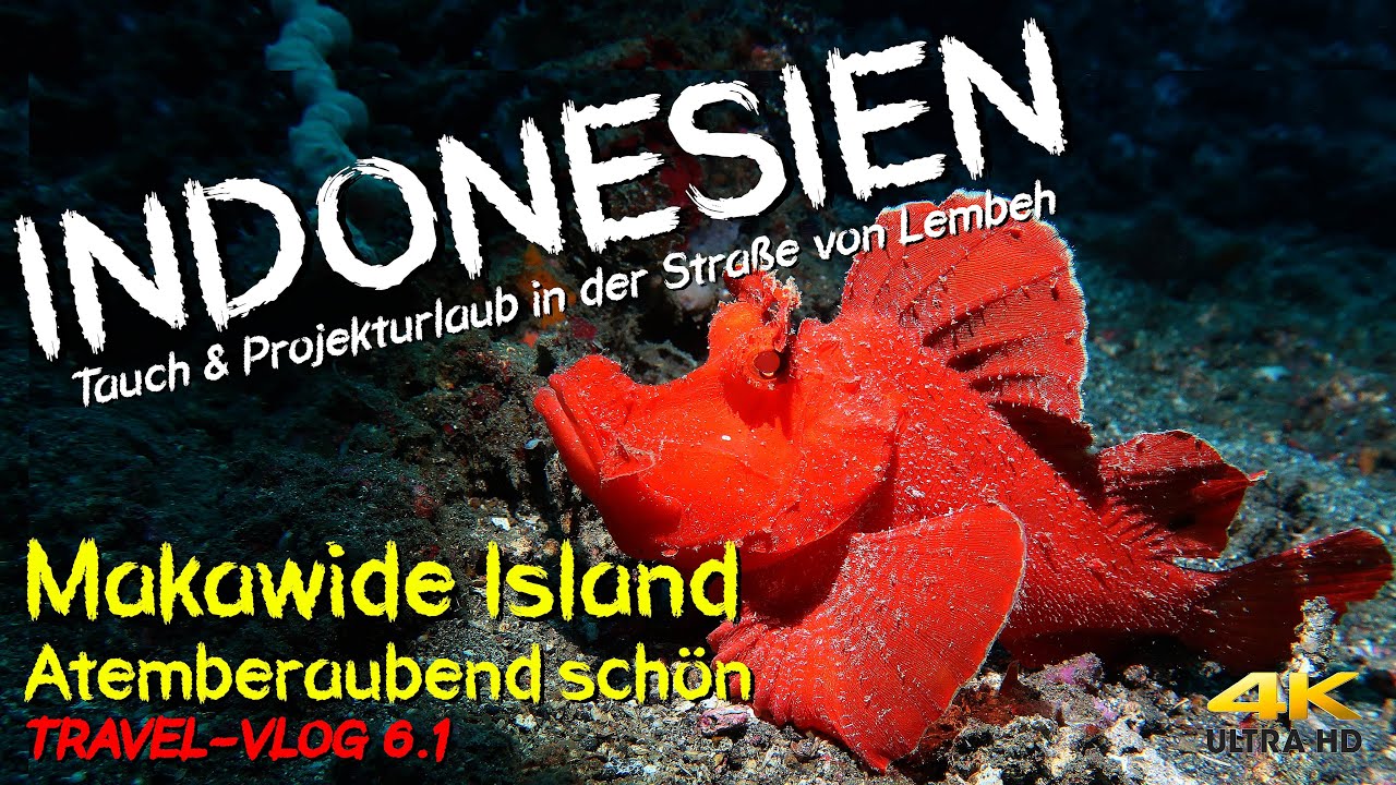 Tauchen INDONESIEN - Makawide Island "Atemberaubend schön" 4K Lembeh Strait