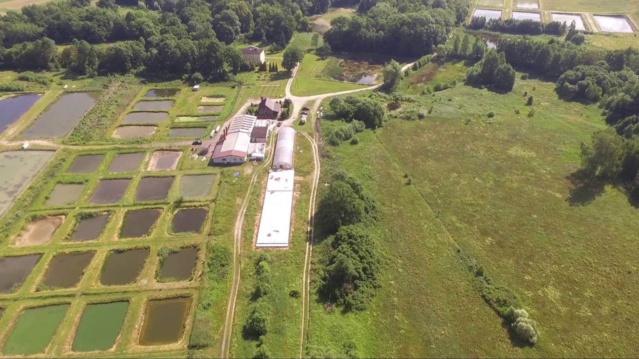 Aerial video of Yoshikigoi Farm
