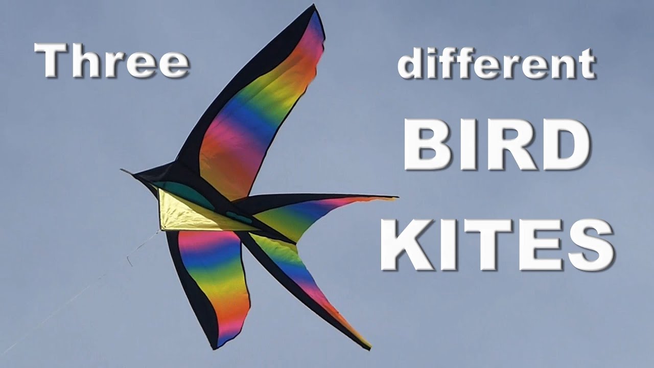 Three different Bird Kites