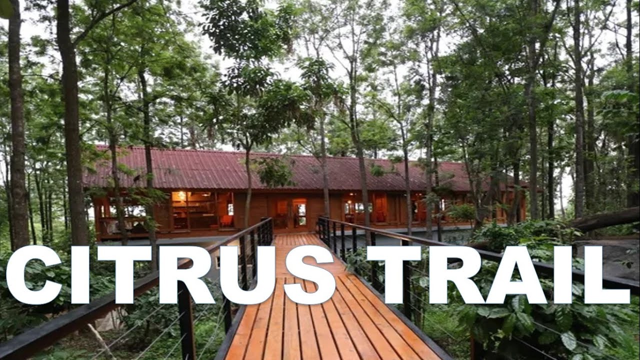 Citrus Trail | Coffee Plantation | Mini Coorg within 40 KMs from Bangalore | Pahadi Patidev |