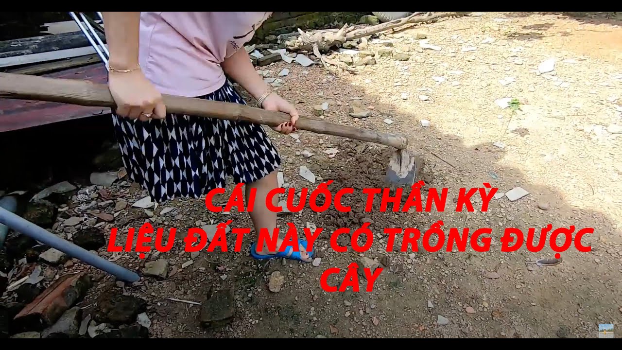 Cặp đôi lính chì - Em về quê trồng rau nuôi lợn