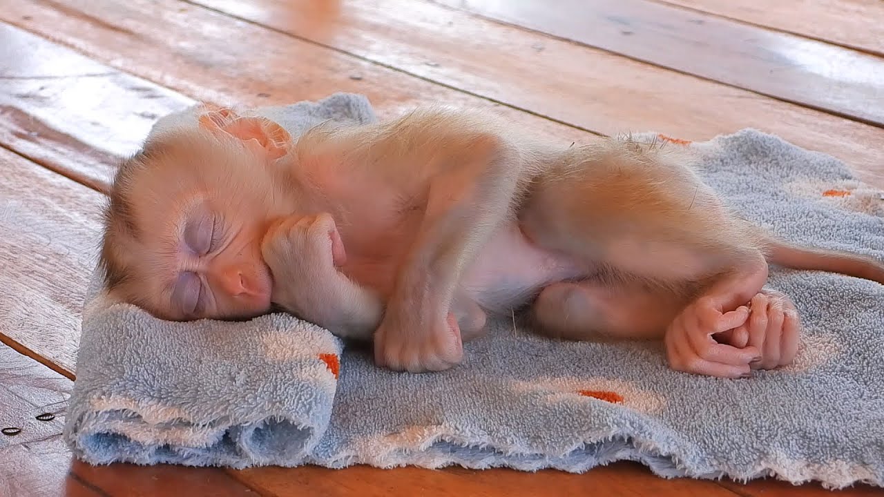 Cute Princess Valen Taking Nap After Bathe And Full Drink Milk