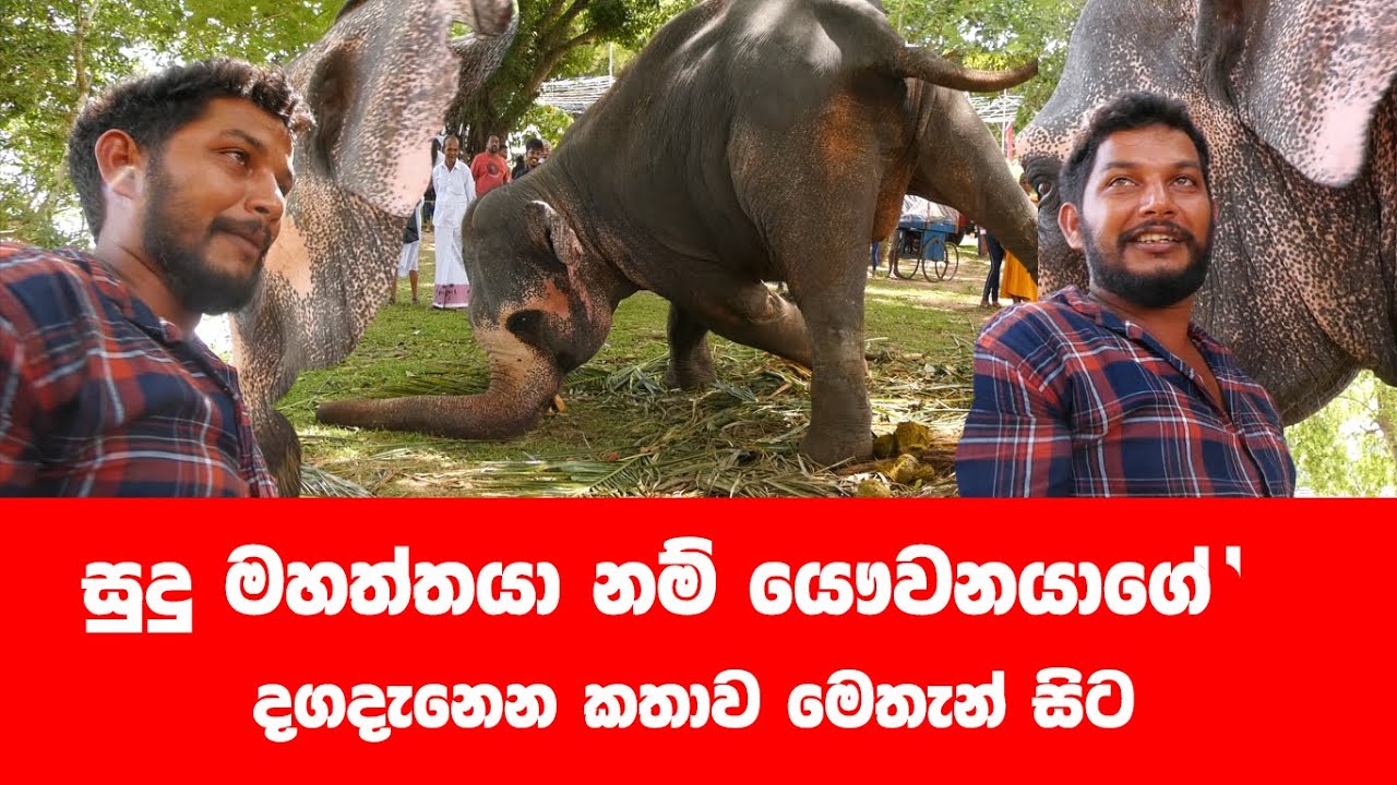 ලංකාවෙන්ම දග දාන දග කොල්ලාගේ කතාව