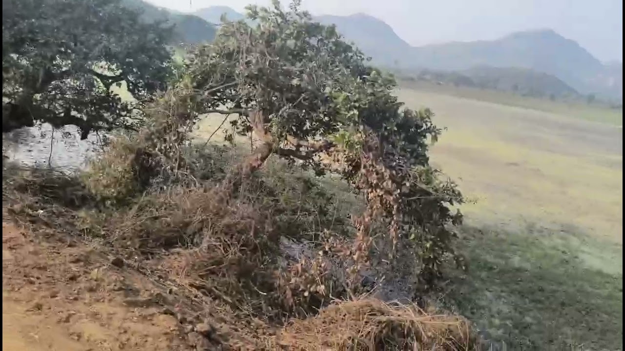 Amo gaon ra harda 🏞️ myodiavlog🏞️ sharing❤️ @LopamudraBlogs 