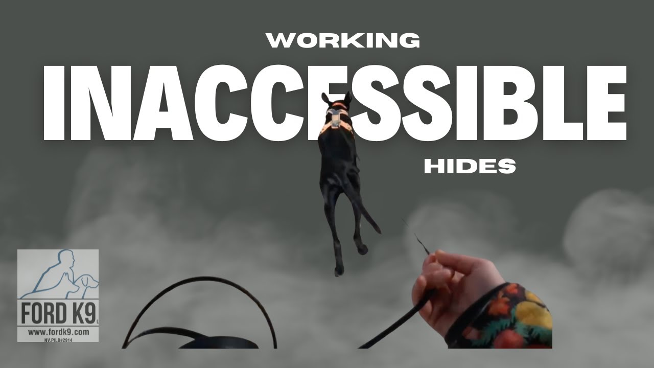 Persistence Inaccessible hide