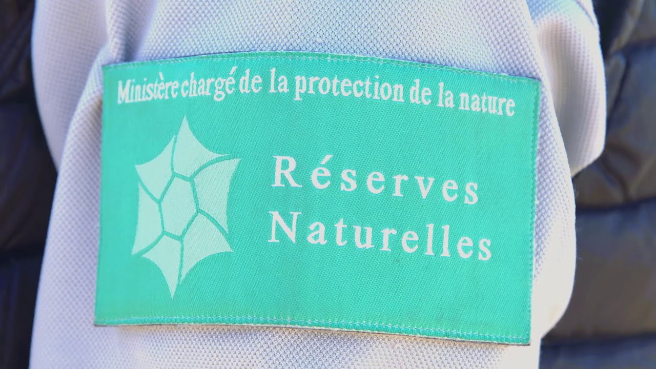 Réserve naturelle nationale des Hauts-Plateaux Vercors 2019
