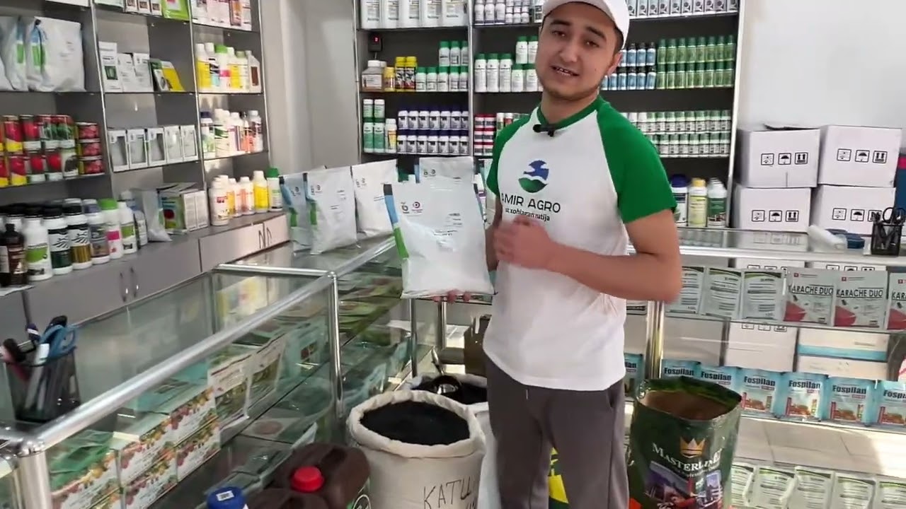 Piyoz uruğlarimiz sotuvda 90 198 79 78