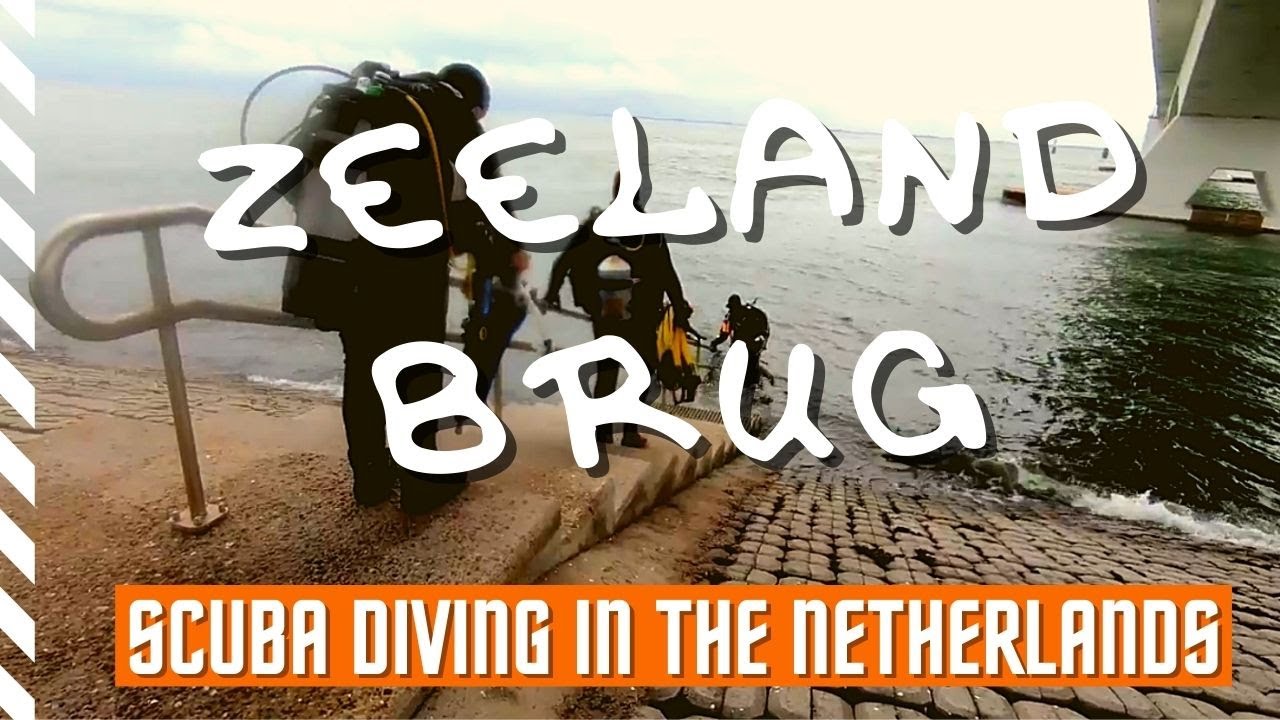 Zeelandbrug - Scuba Diving in The Netherlands