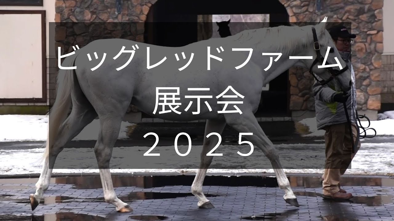 【ビッグレッドファーム展示会2025】ゴールドシップやベンバトルなど6頭が登場！