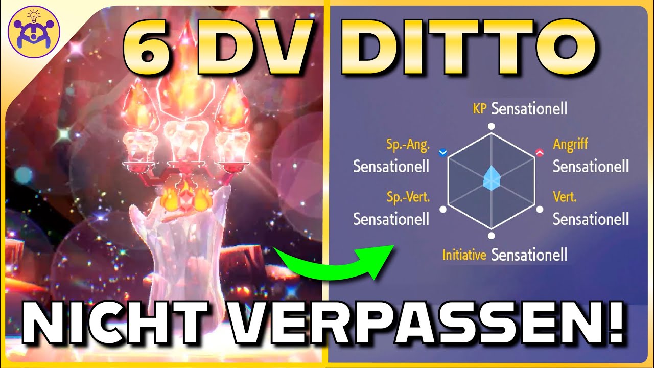6DV PERFEKTES DITTO FANGEN! Nur dieses Wochenende!