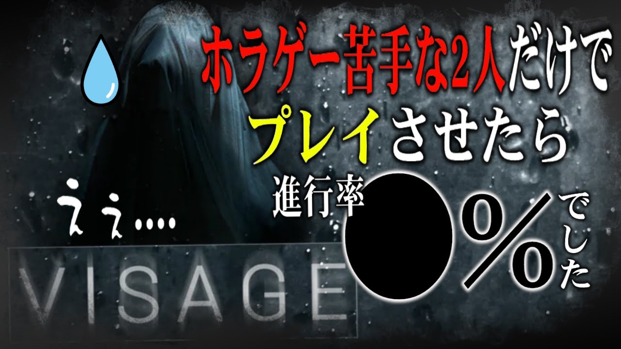 【 #Visage 】ホラゲ嫌いの二人が、二人だけでホラゲをやった結果がこちらですｗｗｗｗｗ【 #世界で一番うるさい組 】