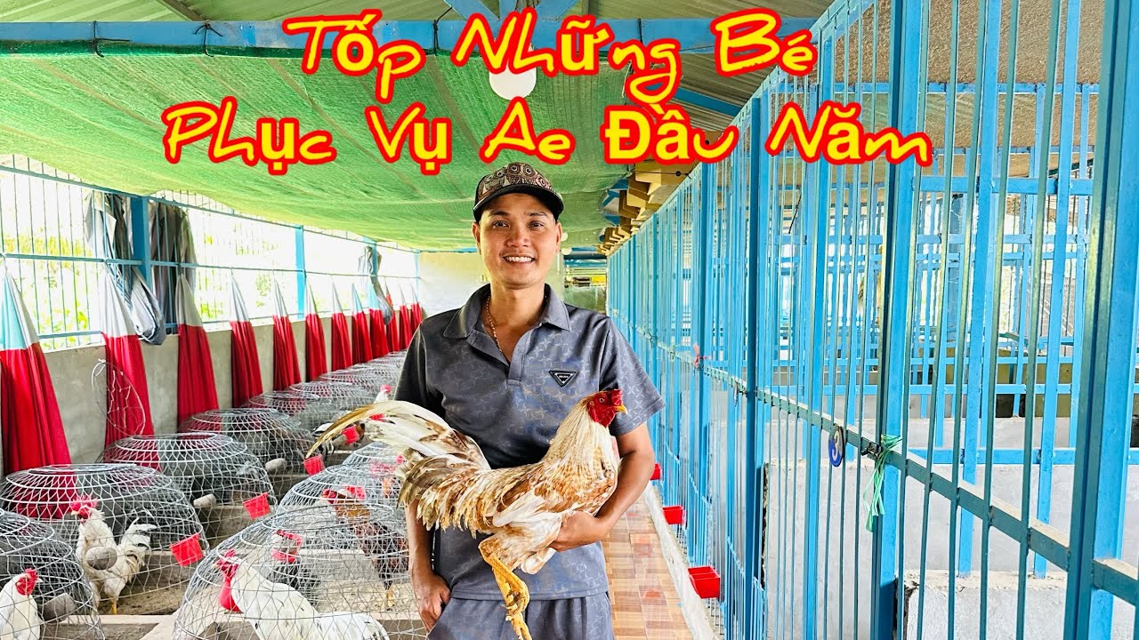 Tốp 🐓 Mới Phục Vụ Ae Xem Clip Vv