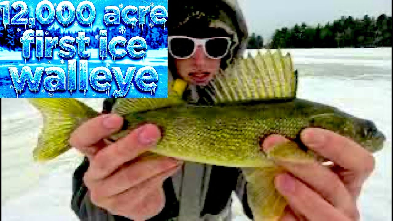 Catch First Ice Walleye 12,000 Acre Lake! (Ice Fishing Wisconsin)