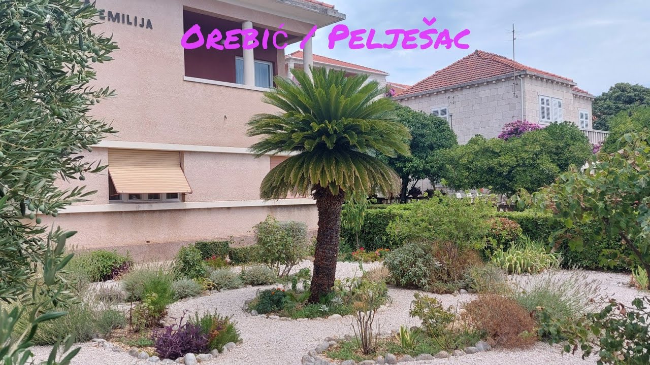 TRAVEL - PUTOVANJA / OREBIĆ poluotok PELJEŠAC 🇭🇷