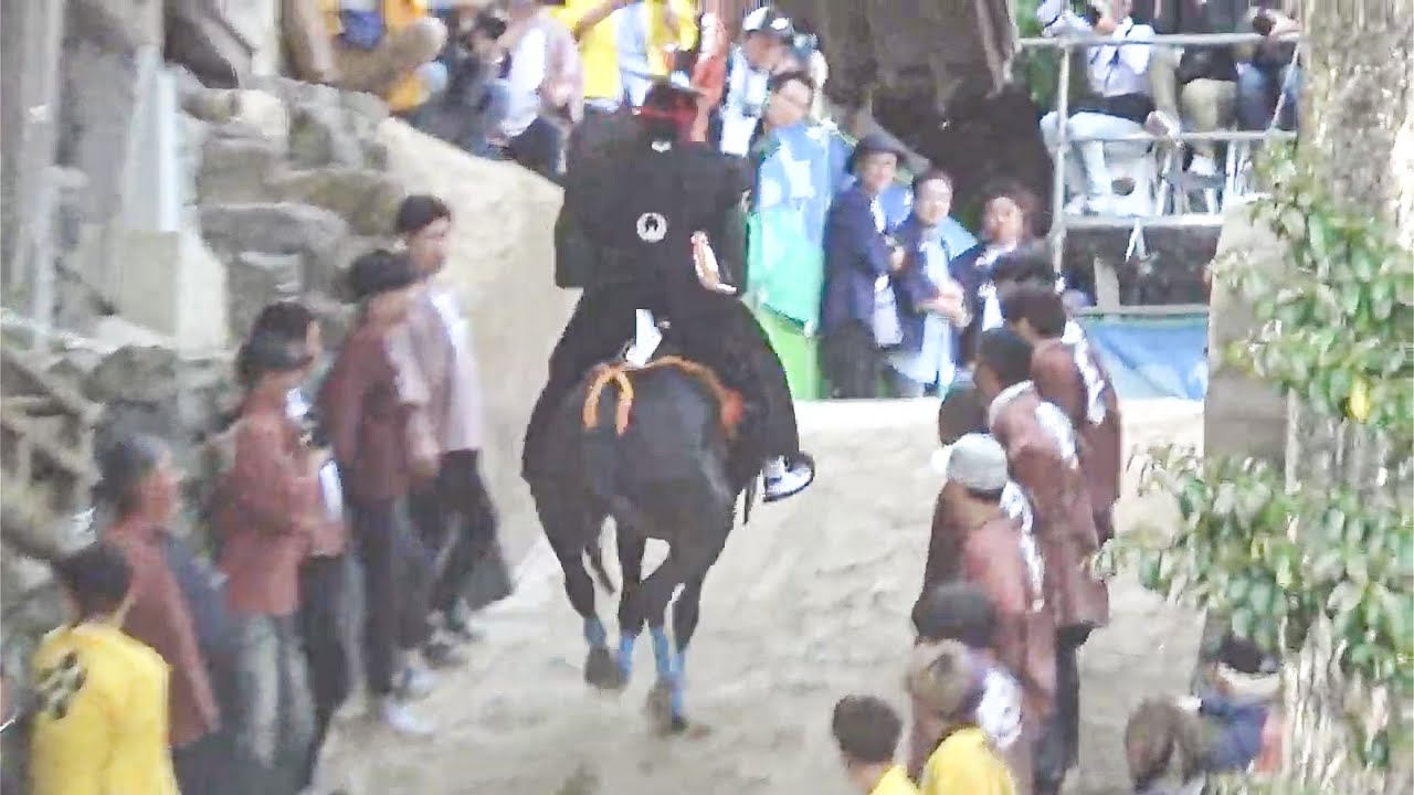 R6.5.4 桑名 上げ馬神事 多度大社 例祭前日祭 2024/05/04(土)