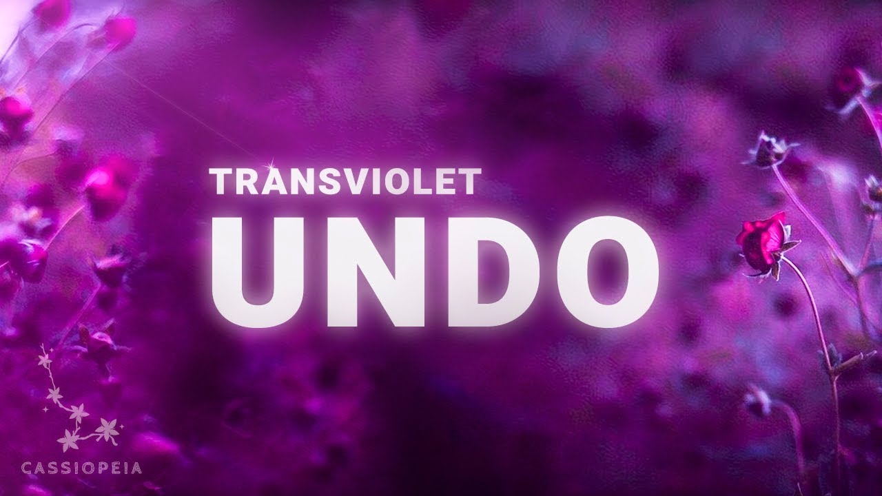 Transviolet - Undo (Lyrics)