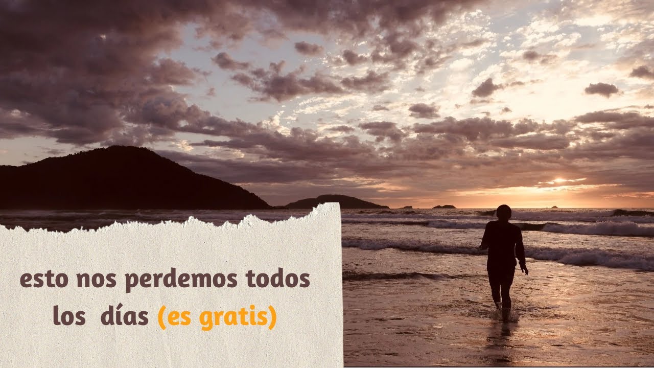 esto nos perdemos todos lo días (es gratis) | praia brava diaries #4