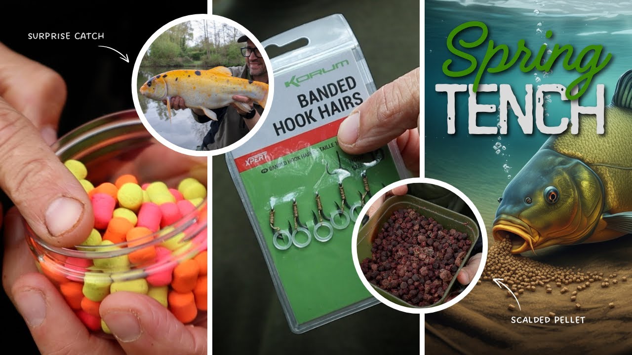 Spring Tench Tactics | Nick Marsh |