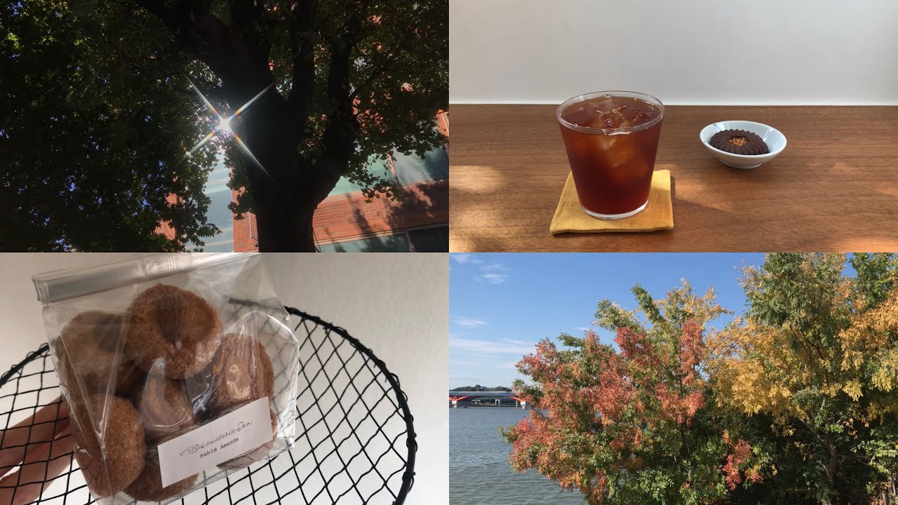 가을 틈새 포착