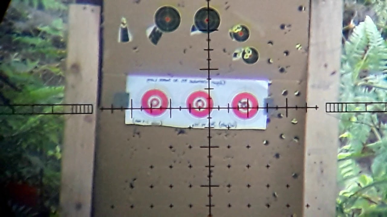 Edgun Matador R5 .30 Super long