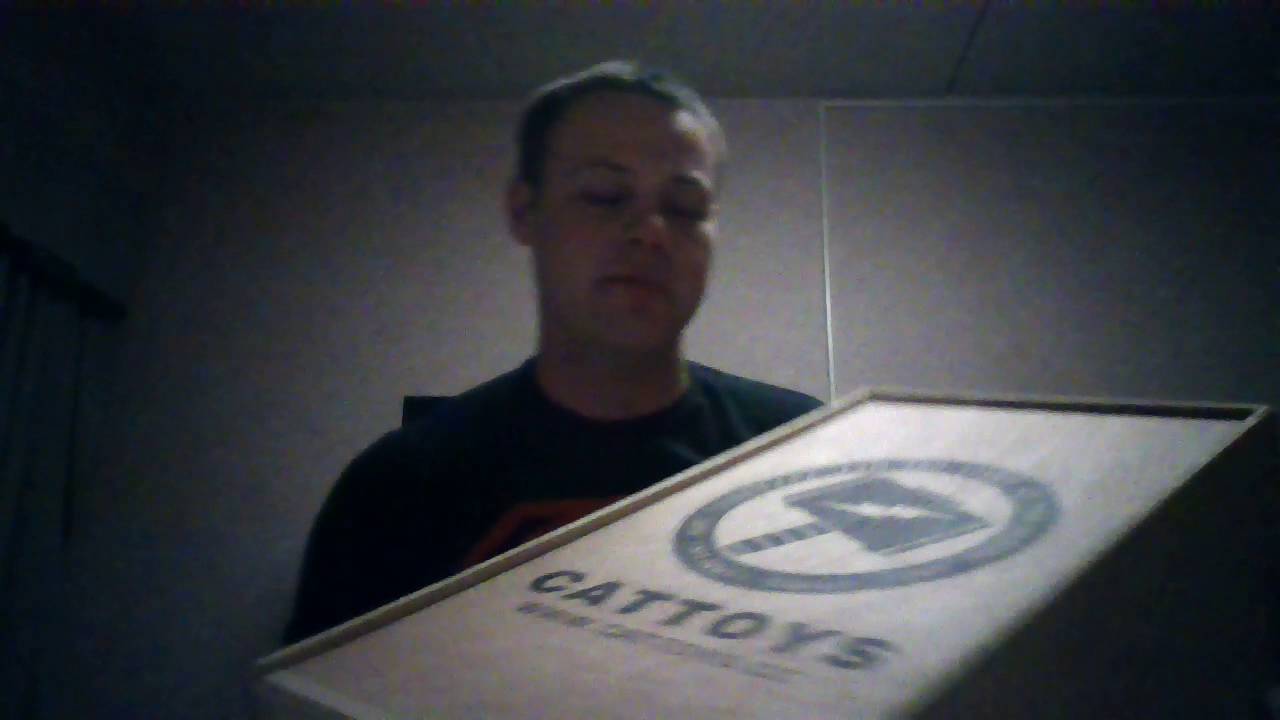 Cat Toys Thor Hammer Review