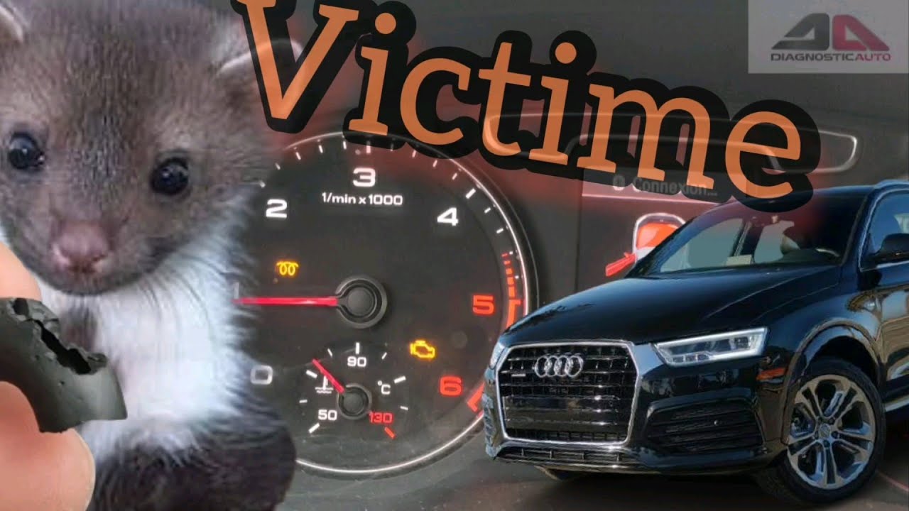 Perte de puissance et témoin de préchauffage qui clignote ? La solution pour 0€ 💪Vanne EGR ou turbo?