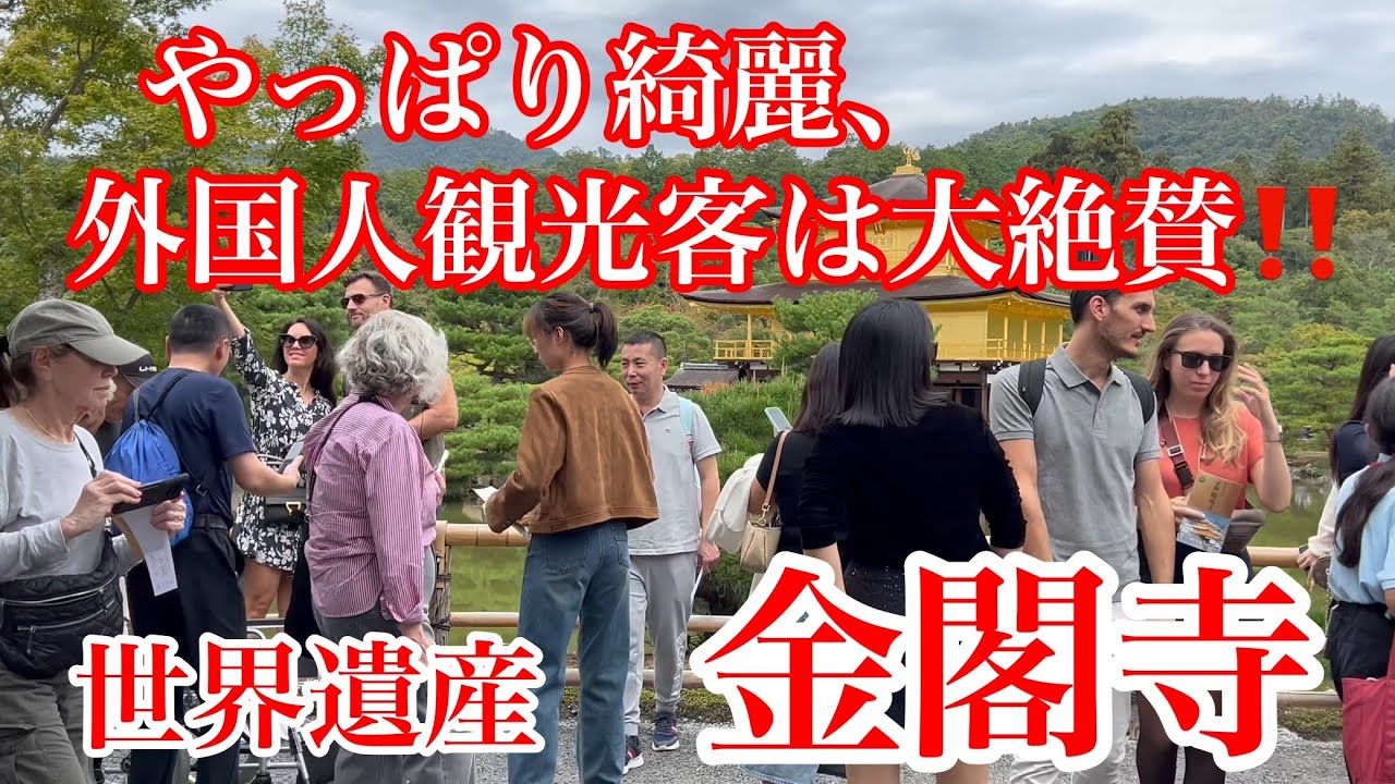 2024年10月27日 やっぱり綺麗、金閣寺の美しさに外国人観光客は大絶賛‼️ Kinkakuji Temple 【4K】Touring Kyoto