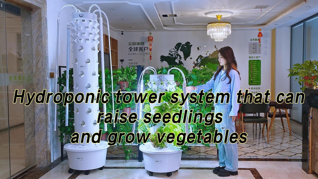 Grow Smart: Lyine 6P4 & 6P8 Hydroponic Towers for Seedlings Above, Veggies Below