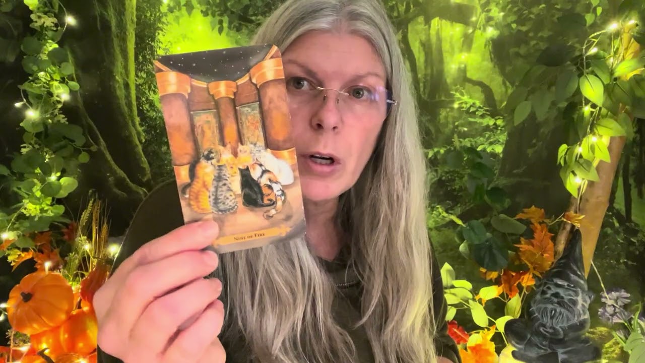 Рыбы. Какой беспорядок они оставили, когда ушли!