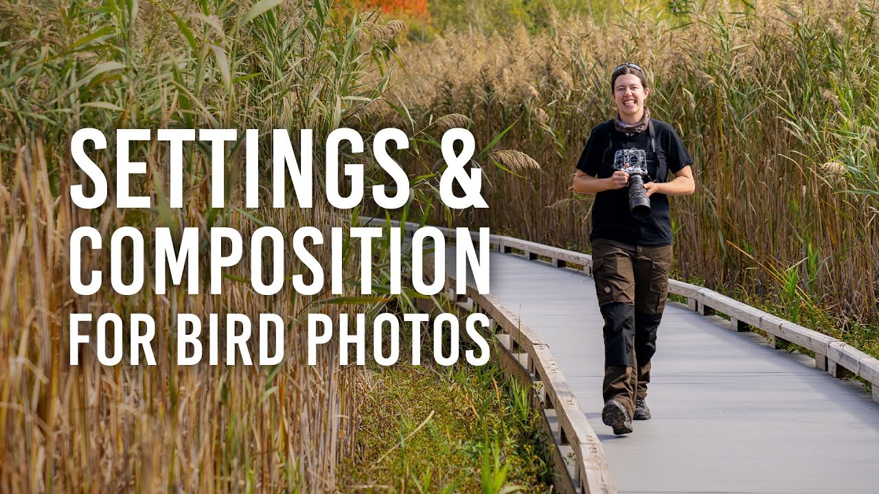 Bird Photography: Better Compositions, Sharper Images & More with Emilie Talpin