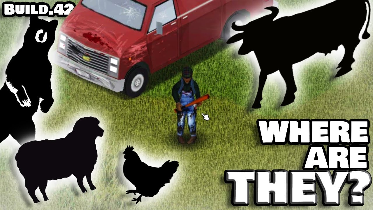 Где ЛУЧШЕ всего искать животных в Build 42 Project Zomboid?