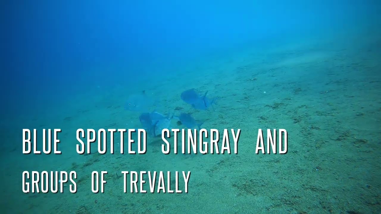 Dauin, Negros Oriental Philippines