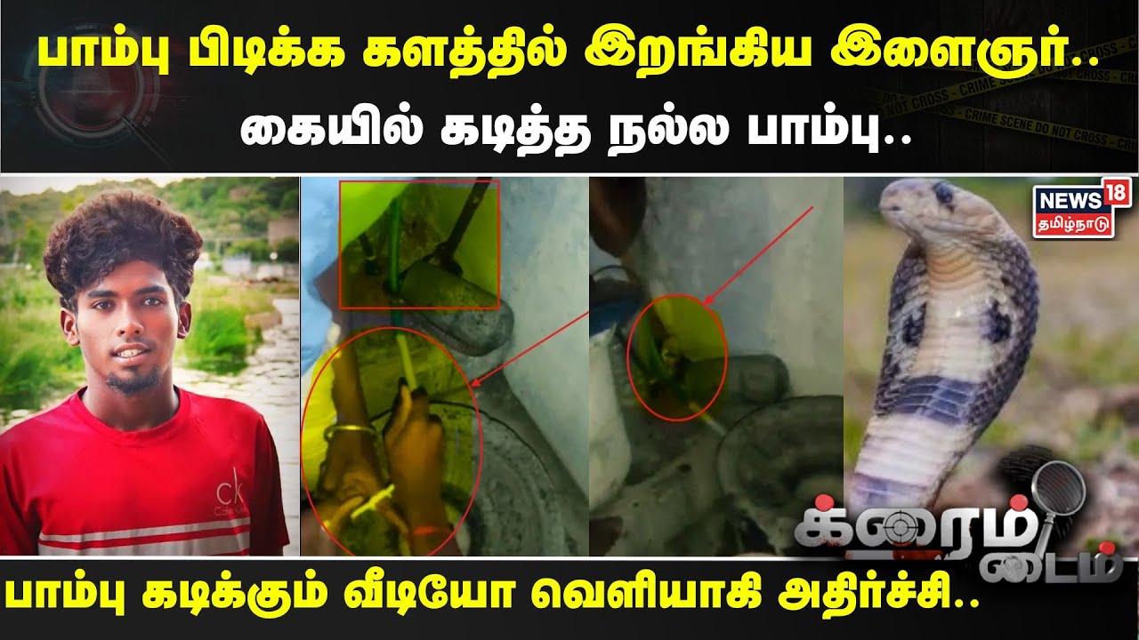 Crime Time | பாம்பு பிடிக்க களத்தில் இறங்கிய இளைஞர்.. கையில் கடித்த நல்ல பாம்பு.. | Salem | Snake