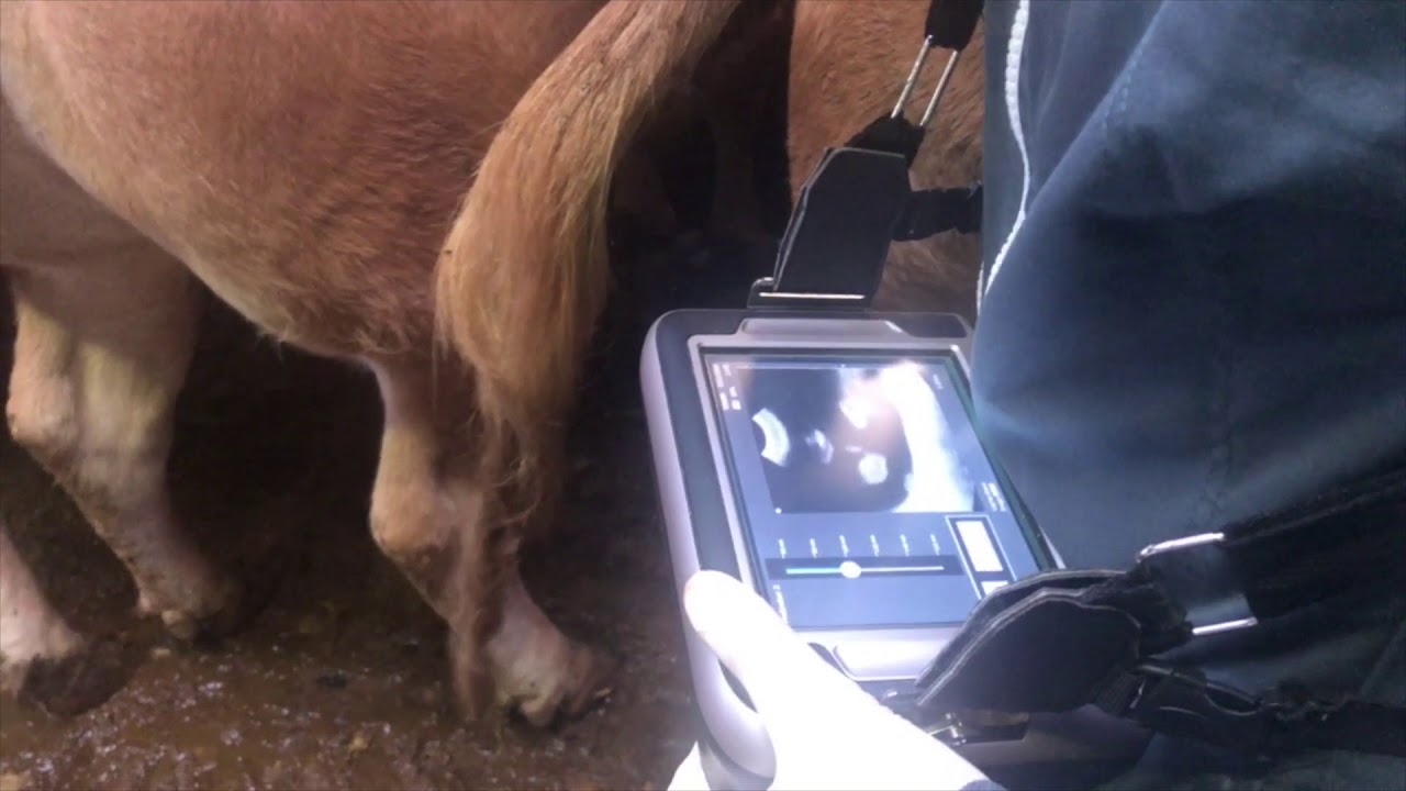 Nos fidèles clients parlent de nous et de l'IMAGO S