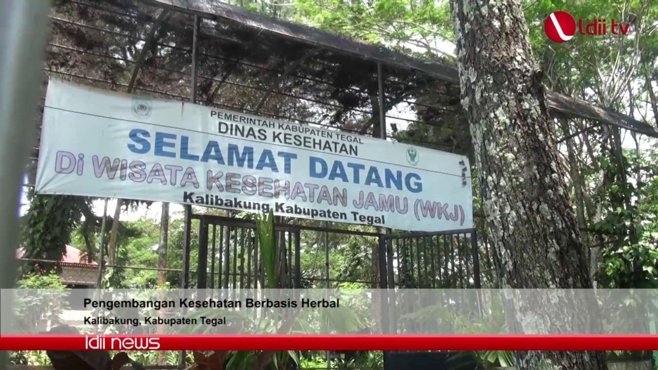 LDII TV : Pengembangan Kesehatan Berbasis Herbal (WKJ Kalibakung Tegal)