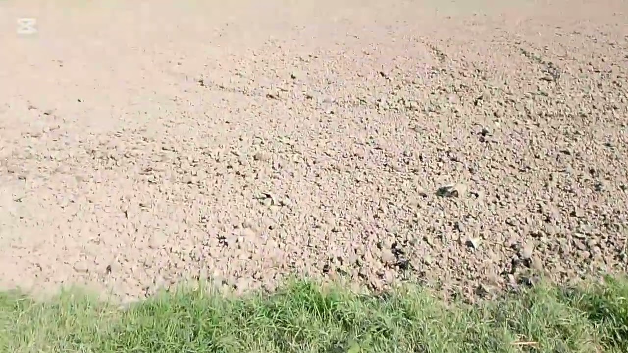 ৫ লাখ ৫০ হাজার টাকা করে শতাংশ বৌয়ালি কোনা খোলার পাশে ঢাকা কেরানীগঞ্জ  01768873308