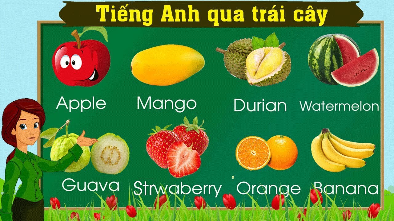 Thanh nấm - Học tiếng Anh qua các loại trái cây và nhận biết các loại trái cây