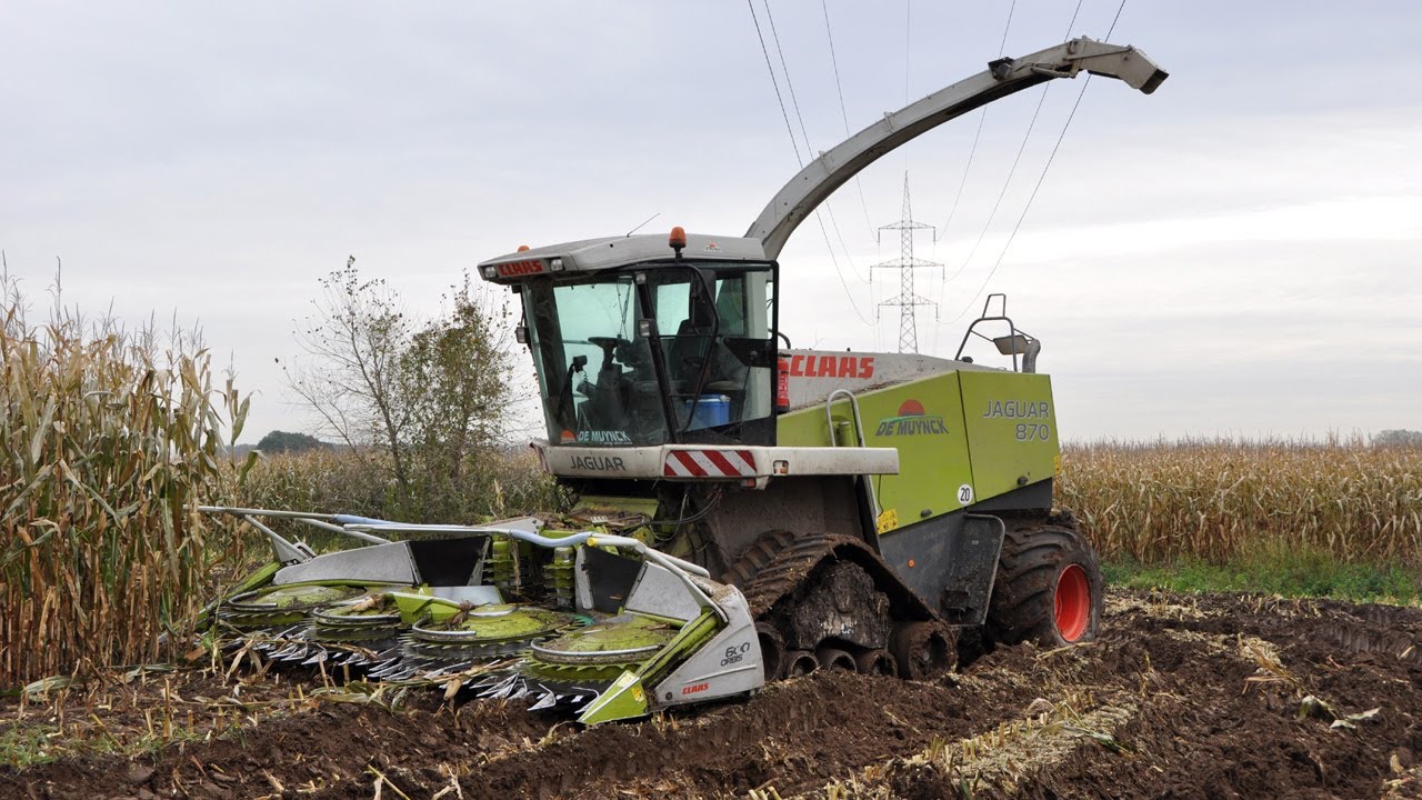 Mais hakselen 2010 - Loonwerk Walter Claeys - Claas Jaguar 870
