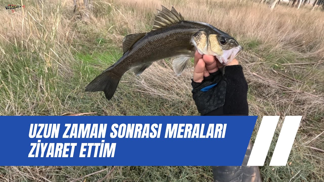 UZUN ZAMAN SONRA MERALARA YOKLAMA