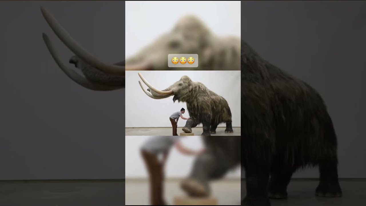 Extinct animals scientists are trying to bring back
