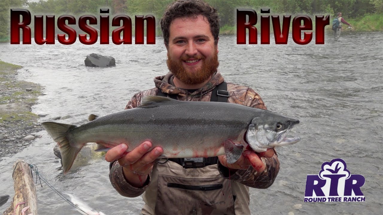 Combat Fishing Russian River - Alaska Sockeye Salmon