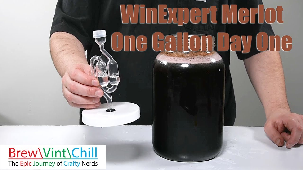WinExpert Merlot One Gallon Day One