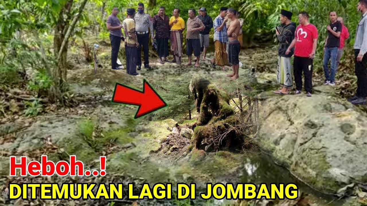 VIRAL !! DITEMUKAN WARGA SUDAH BERLUMUT LAGI VIRAL DI JOMBANG JAWA TIMUR