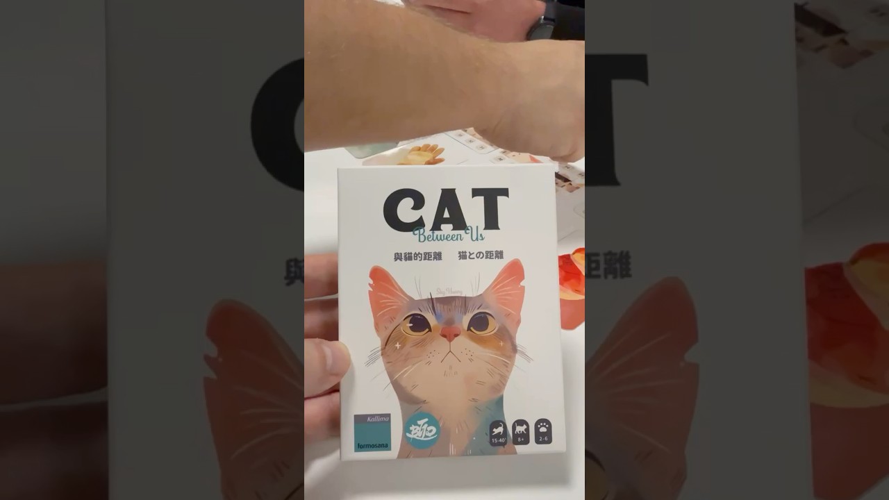 Cat Between Us #boardgames #gryplanszowe #boardgame #tabletopgames #graplanszowa