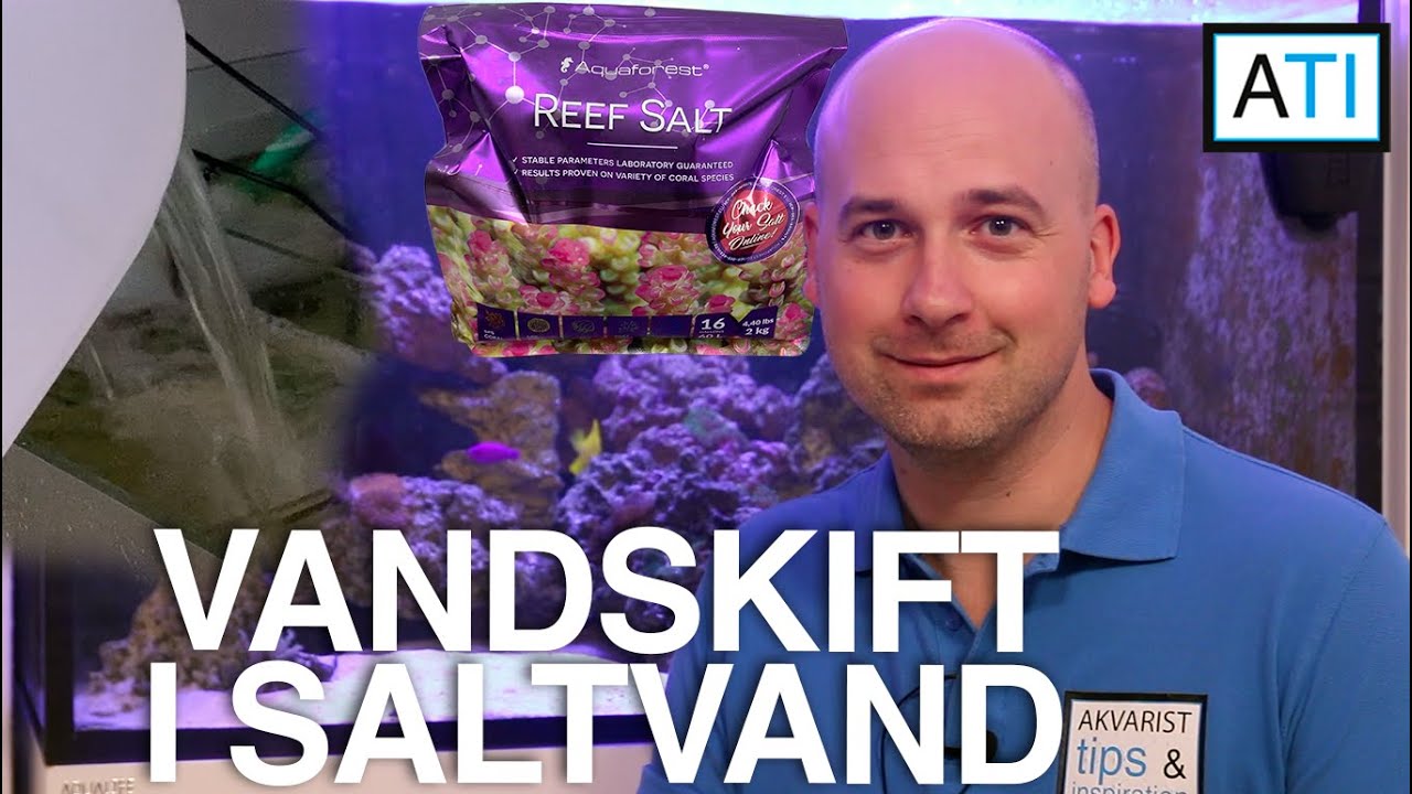 Vandskift i saltvands akvarie (Begynder guide)