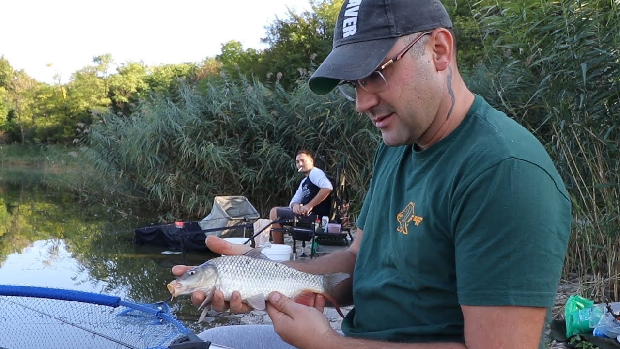 Pecanje Sarana i Babuske na Feeder - Akumulaciono Jezero Krivaja