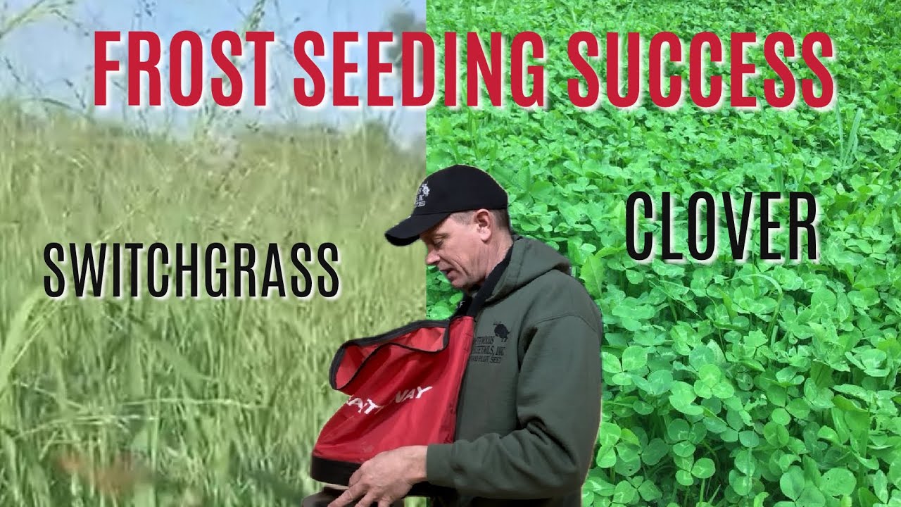 FROST SEEDING TIPS : Part 2