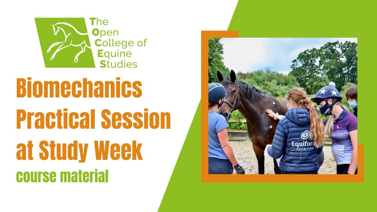 Biomechanics Practical Session at Study Week
