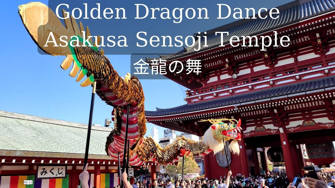 Golden Dragon Dance at  Asakusa Sensoji Temple (金龍の舞 )  #japantravel  #sensojitemple #dragondance